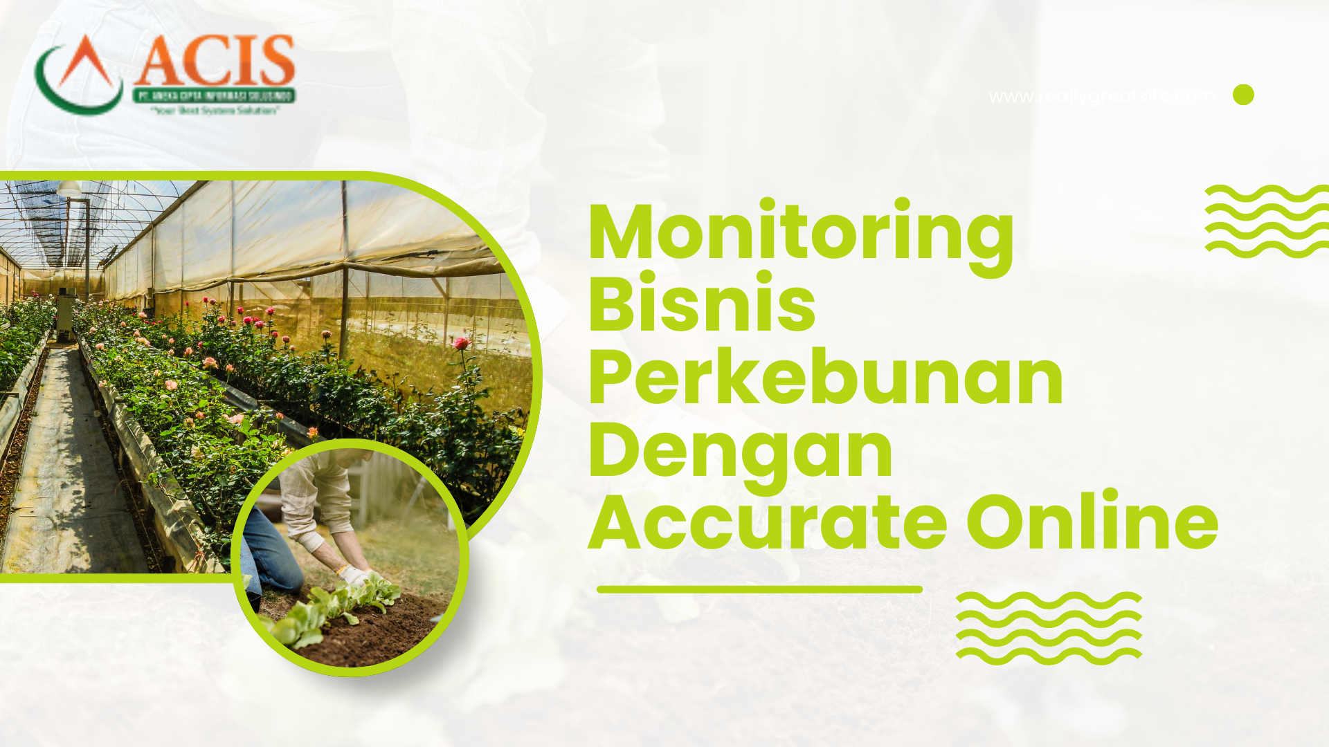 Bisnis Perkebunan Bisnis Perkebunan